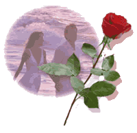 ������ ��� ������